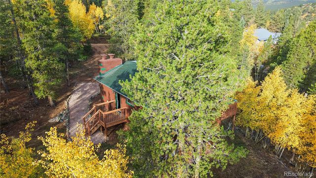 225 Renaud Road, Bailey, CO 80421