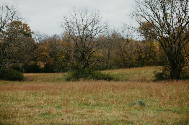 2031 Trilogy Ln, Mount Pleasant, TN 38474