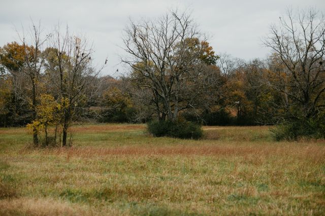 2031 Trilogy Ln, Mount Pleasant, TN 38474