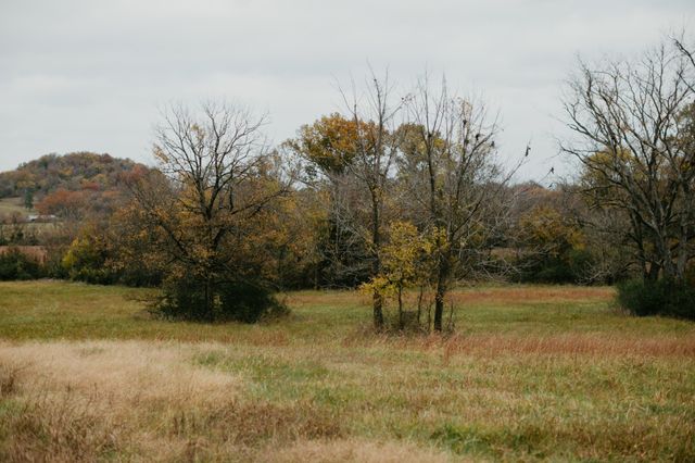 2031 Trilogy Ln, Mount Pleasant, TN 38474