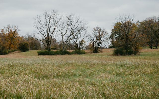 2031 Trilogy Ln, Mount Pleasant, TN 38474