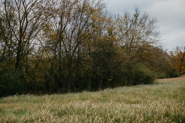 2031 Trilogy Ln, Mount Pleasant, TN 38474