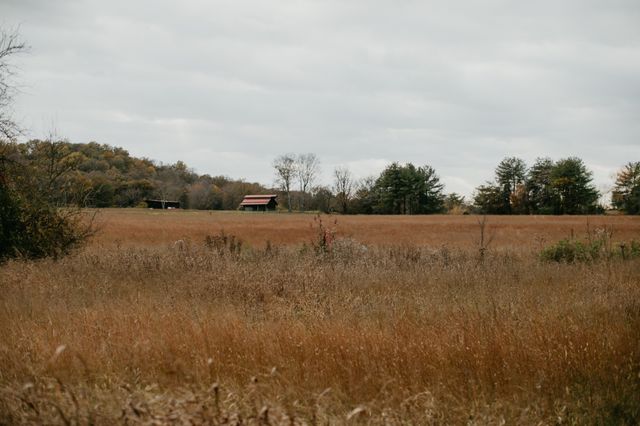 2031 Trilogy Ln, Mount Pleasant, TN 38474