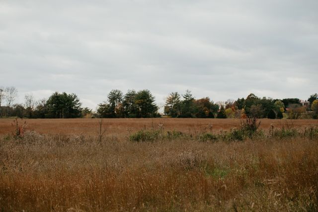 2031 Trilogy Ln, Mount Pleasant, TN 38474