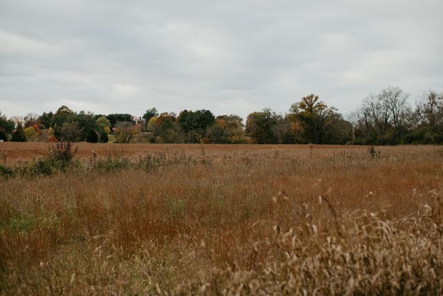 2031 Trilogy Ln, Mount Pleasant, TN 38474