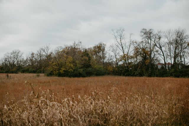 2031 Trilogy Ln, Mount Pleasant, TN 38474