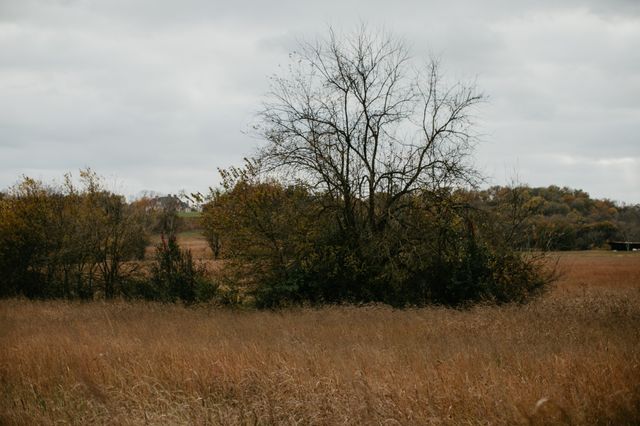 2031 Trilogy Ln, Mount Pleasant, TN 38474