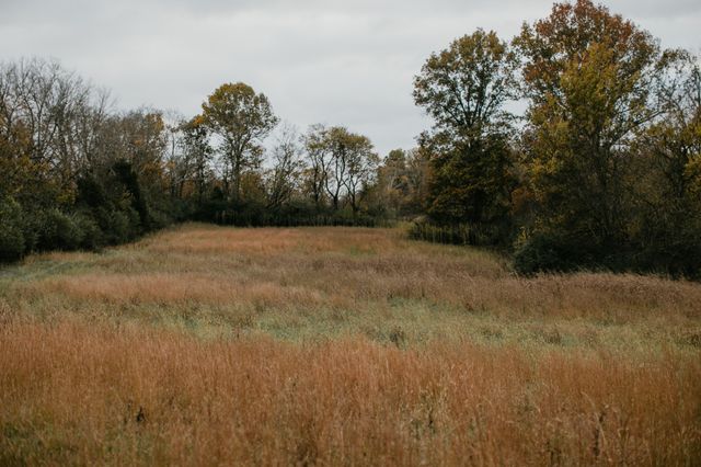 2031 Trilogy Ln, Mount Pleasant, TN 38474