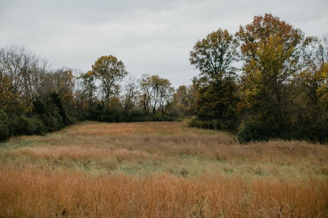 2031 Trilogy Ln, Mount Pleasant, TN 38474