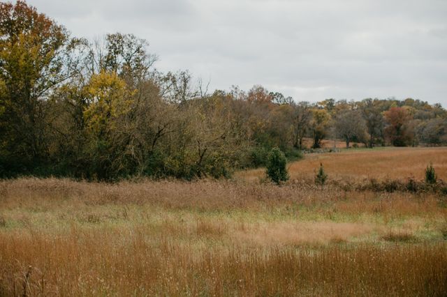 2031 Trilogy Ln, Mount Pleasant, TN 38474