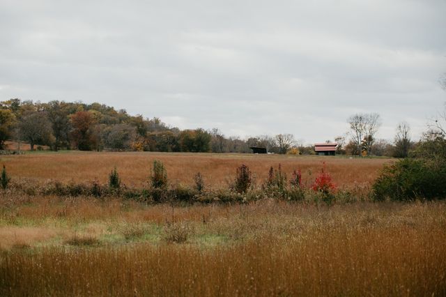 2031 Trilogy Ln, Mount Pleasant, TN 38474