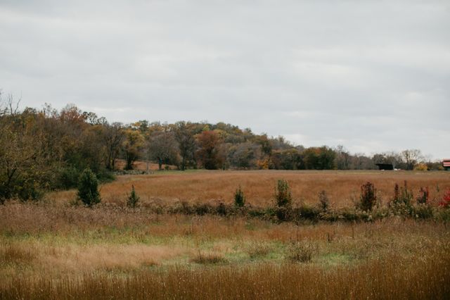 2031 Trilogy Ln, Mount Pleasant, TN 38474