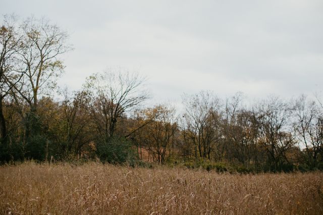 2031 Trilogy Ln, Mount Pleasant, TN 38474