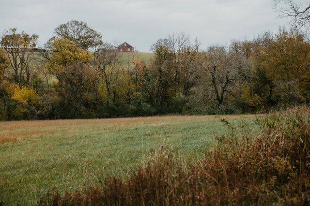 2031 Trilogy Ln, Mount Pleasant, TN 38474