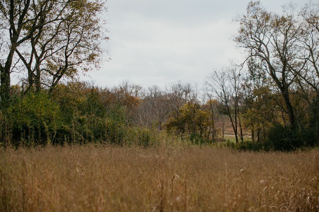 2031 Trilogy Ln, Mount Pleasant, TN 38474