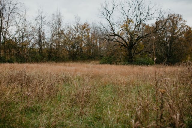 2031 Trilogy Ln, Mount Pleasant, TN 38474