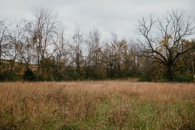 2031 Trilogy Ln, Mount Pleasant, TN 38474