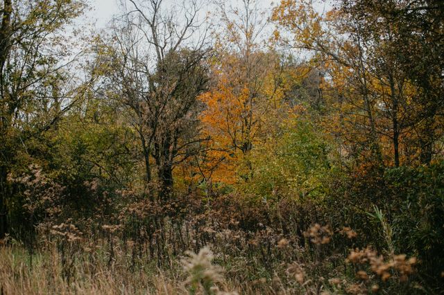 2031 Trilogy Ln, Mount Pleasant, TN 38474