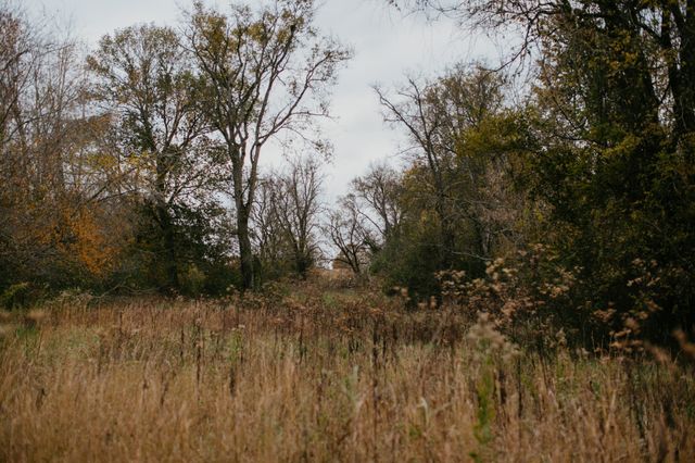 2031 Trilogy Ln, Mount Pleasant, TN 38474