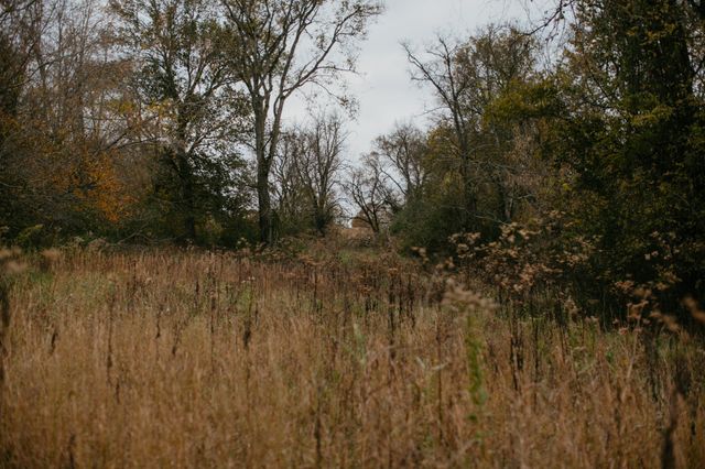 2031 Trilogy Ln, Mount Pleasant, TN 38474