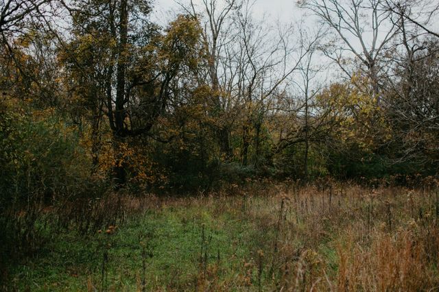 2031 Trilogy Ln, Mount Pleasant, TN 38474