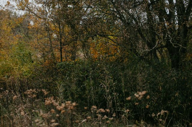 2031 Trilogy Ln, Mount Pleasant, TN 38474