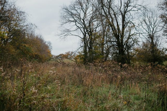 2031 Trilogy Ln, Mount Pleasant, TN 38474