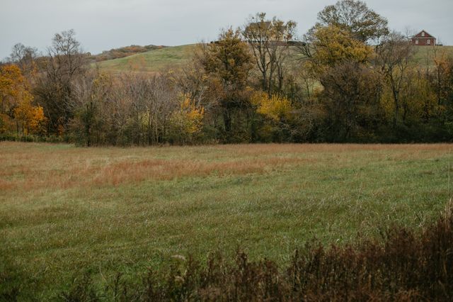 2031 Trilogy Ln, Mount Pleasant, TN 38474