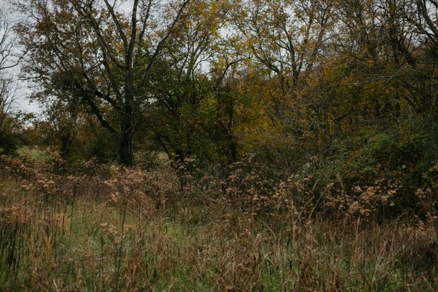 2031 Trilogy Ln, Mount Pleasant, TN 38474