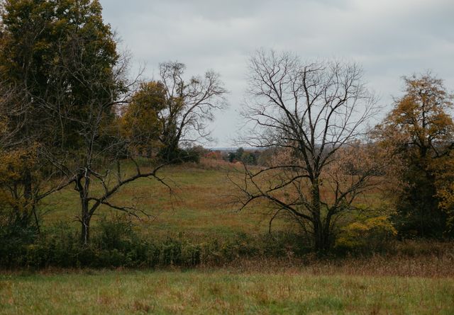 2031 Trilogy Ln, Mount Pleasant, TN 38474