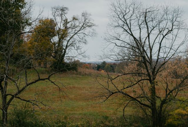 2031 Trilogy Ln, Mount Pleasant, TN 38474