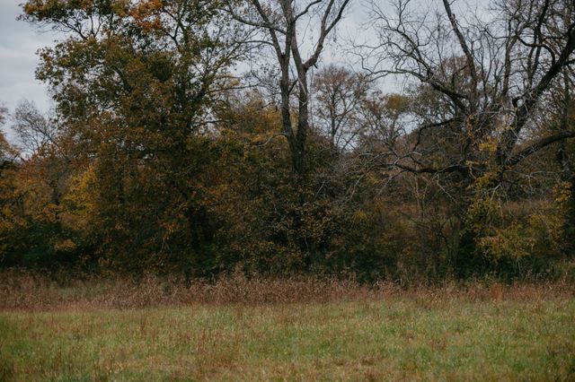 2031 Trilogy Ln, Mount Pleasant, TN 38474