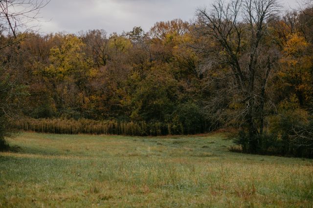 2031 Trilogy Ln, Mount Pleasant, TN 38474