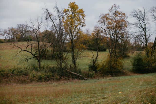 2031 Trilogy Ln, Mount Pleasant, TN 38474