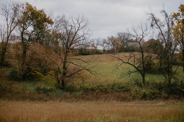 2031 Trilogy Ln, Mount Pleasant, TN 38474