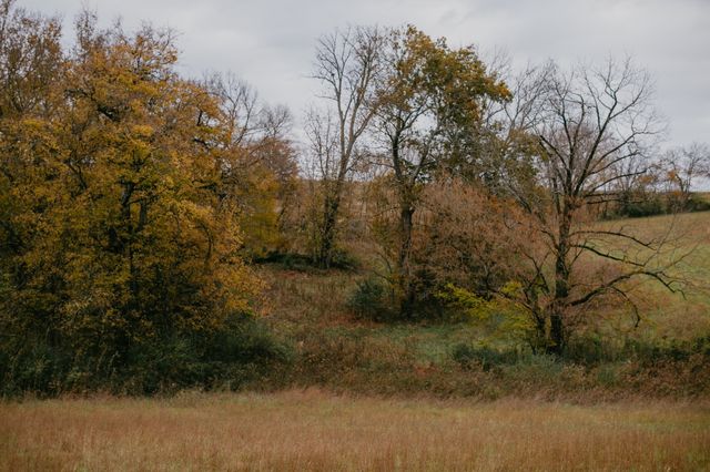 2031 Trilogy Ln, Mount Pleasant, TN 38474