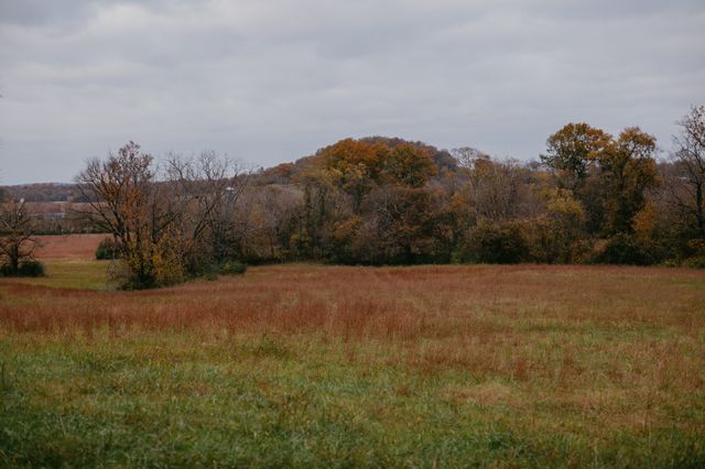 2031 Trilogy Ln, Mount Pleasant, TN 38474