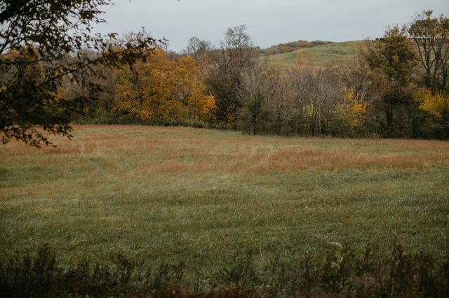 2031 Trilogy Ln, Mount Pleasant, TN 38474