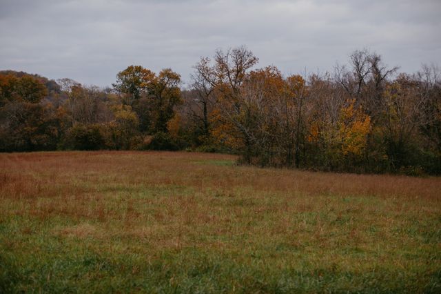 2031 Trilogy Ln, Mount Pleasant, TN 38474