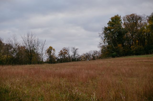 2031 Trilogy Ln, Mount Pleasant, TN 38474