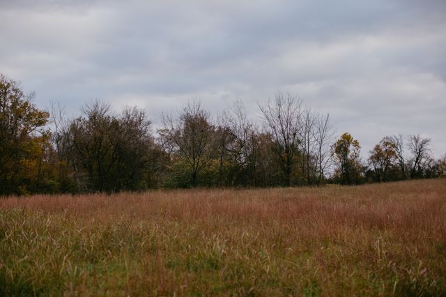 2031 Trilogy Ln, Mount Pleasant, TN 38474