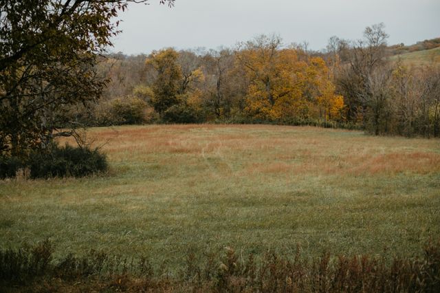 2031 Trilogy Ln, Mount Pleasant, TN 38474