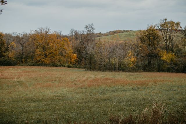 2031 Trilogy Ln, Mount Pleasant, TN 38474