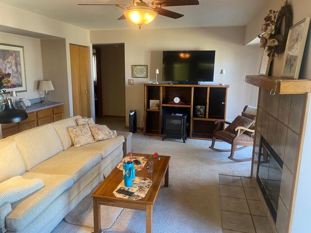 6612 Martin France Circle 2c, Tinley Park, IL 60477