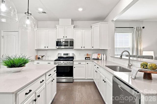 517 Cellini Place, Mount Holly, NC 28120