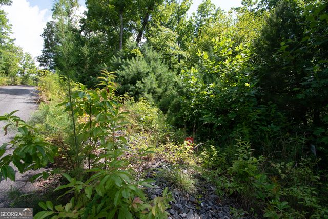 850 Bluff Road, Marble, NC 28905