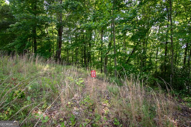 850 Bluff Road, Marble, NC 28905