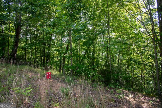 850 Bluff Road, Marble, NC 28905