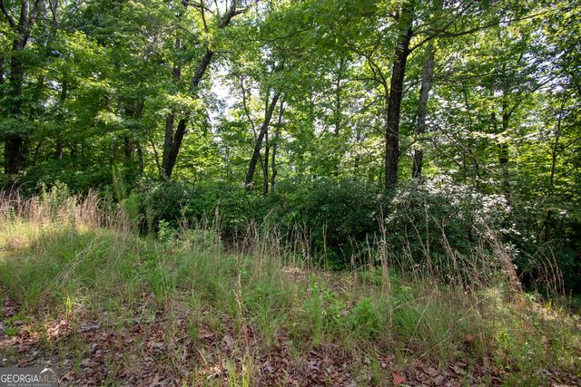 850 Bluff Road, Marble, NC 28905