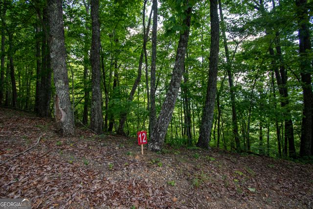 850 Bluff Road, Marble, NC 28905